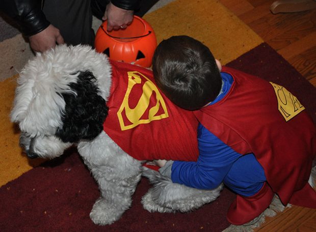 Superman and Krypto